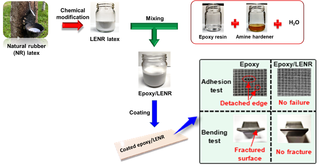 Development of waterborne epoxy-based resin incorporated withmodified ...